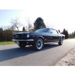 Mustang
