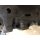 1964-68 Ford Mustang Zylinderkopf 289cui V8 Small Block Cylinder head