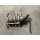 Maserati 4200 Motor 4,2l Ferrari Ansaugspinne Intake Manifold