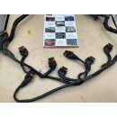 Maserati 4200 Kabelbaum Z&uuml;ndspule Ignition Coil...