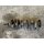 1968 69 Ford 428 Cobra Jet Kurbelwelle 1UB Crankshaft Motor 7l CJ GT500 Shaker Shelby